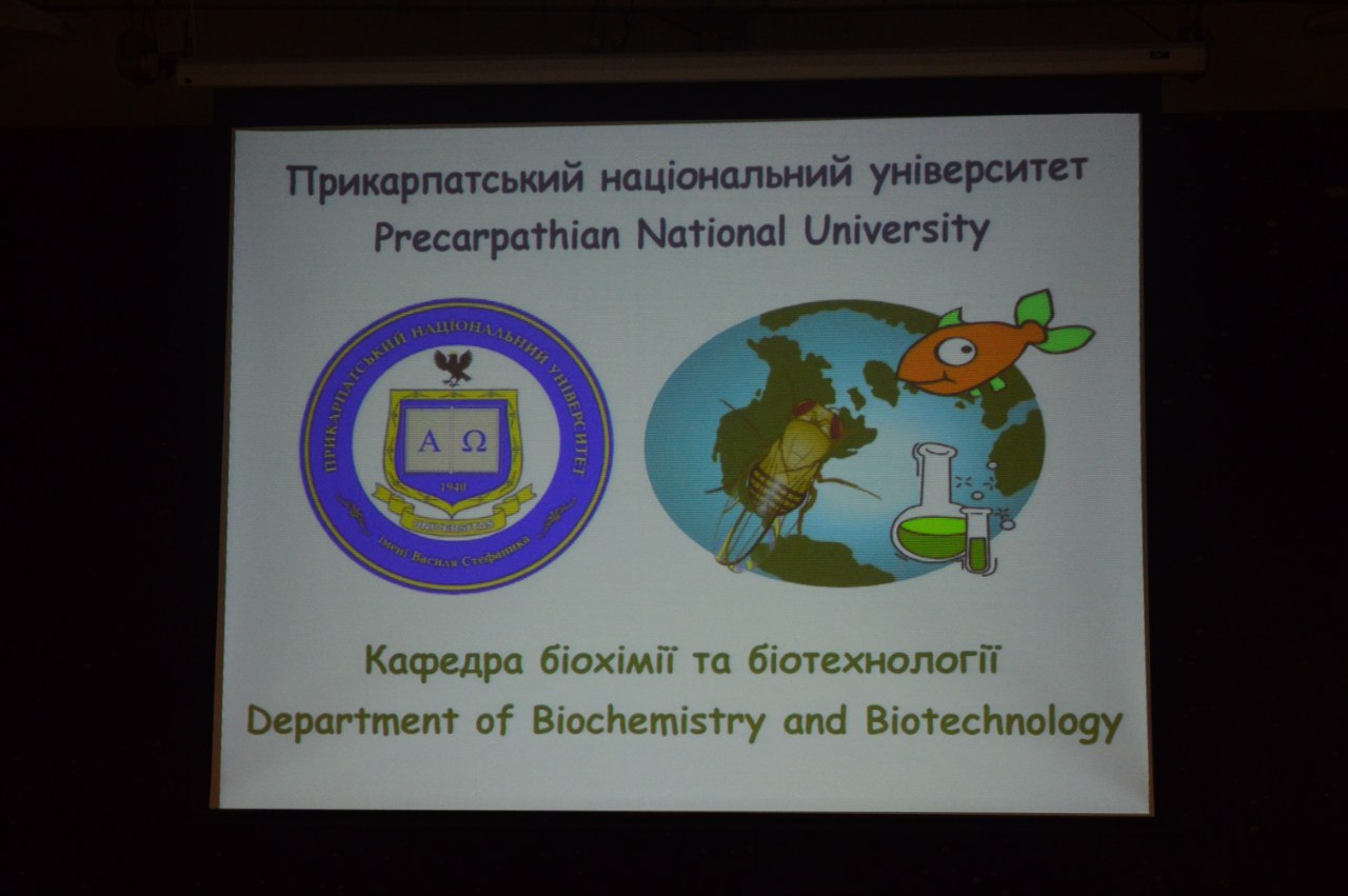 /data/blog/100115/59555cbd9594ddd99497f38914481246.jpg