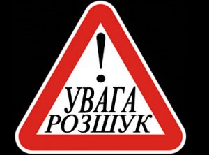 /data/blog/101155/1394c1452ec56038359c8c078af0601f.png