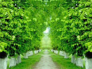 /data/blog/106339/ad62d5ec0244487bcbf556a55fecdcf7.jpg