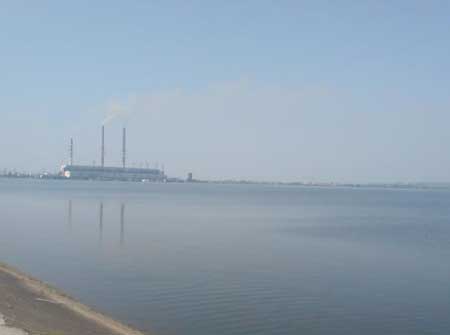 На Бурштинському водосховищі створено спеціальне товарне рибне господарство 