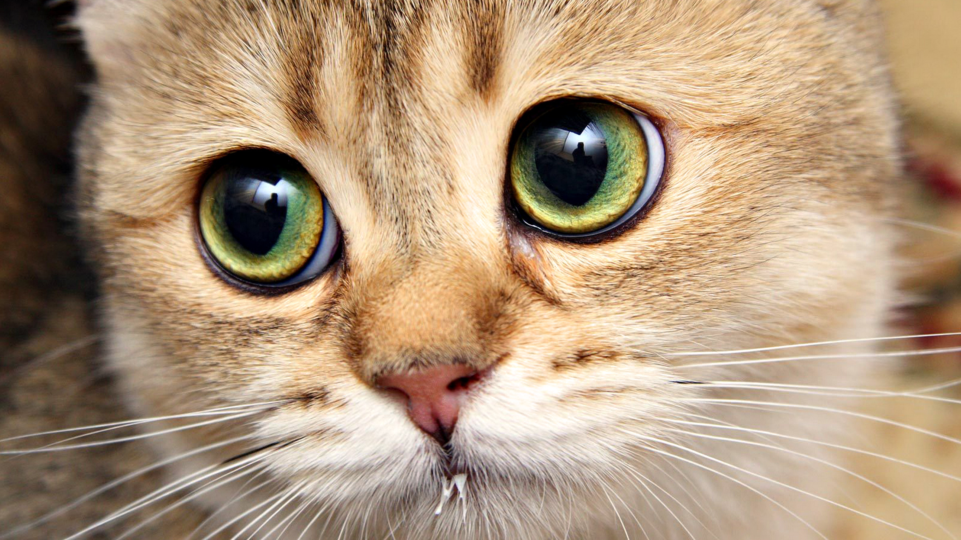 /data/blog/119354/95590d60f6c4ee9c961a528dbd7bcc8e.jpg