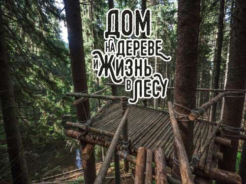 /data/blog/122014/abe54b882b5ff3d686b771253b887359.jpg