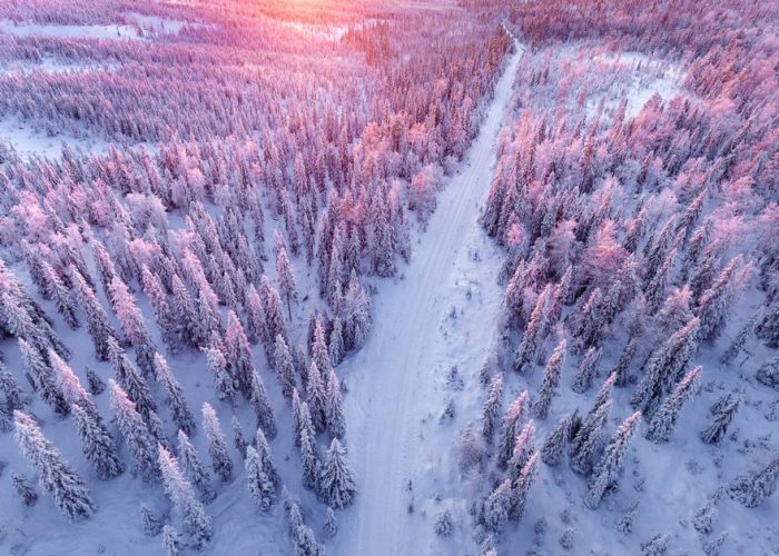 Ні кінця ні краю не видно.