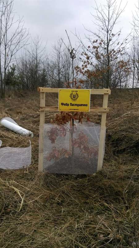 На Прикарпатті висадили алею українських героїв