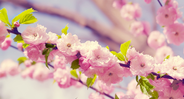 /data/blog/129018/df2bd14fe25cdcf789be3a54ea9456c6.jpg