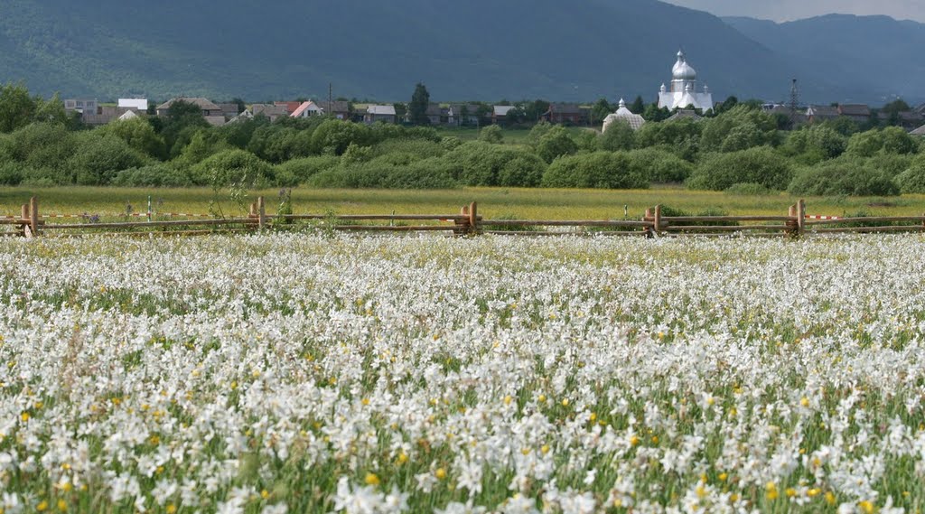 Найкращі гори у світі: 50 цікавих фактів про Карпати