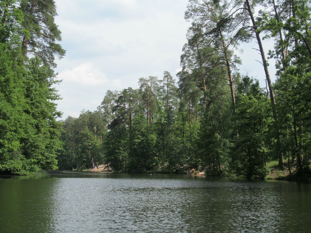 Тиха вода в Пущі-Водиці