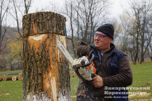 На Закарпатті кращі різьбярі створюють унікальну алею: опубліковано ФОТО