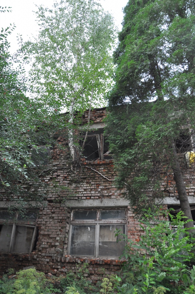 DSC_0159.JPG