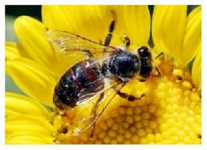 /data/blog/38480/3e25766dda2faec071ebc7c411fbe6cd.jpg