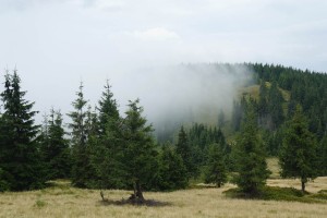 Негура – карпатський туман