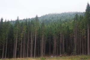 pic 3-24