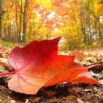 /data/blog/40199/eb6207c4aeb5961692965bceefa6d6b6.jpg