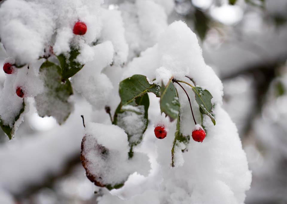 /data/blog/41532/d202ff8cc97538fabb1d3cf33b51c709.jpg