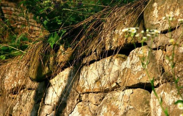 Poyutstchie-terrasy-sGorodne (1)