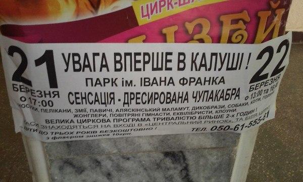 На Прикарпаття везуть дресировану чупакабру