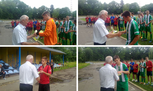 ДЮФЛ області