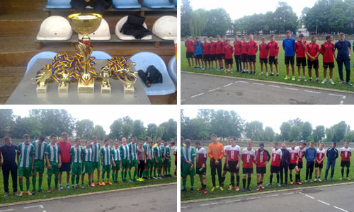 ДЮФЛ області